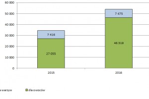 Rysunek 1. Liczba wydanych świadectw fitosanitarnych na eksport do państw trzecich dla owoców i warzyw 
w latach 2015-2016