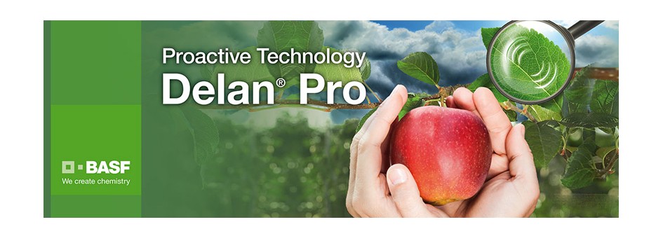 Delan® Pro - nowość wielowymiarowa