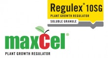 Regulex 10 SG i MaxCel już  dostępne w sprzedaży