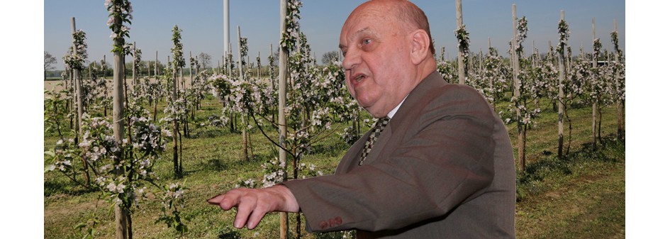 Szkody przymrozkowe w sadach - prof. Makosz