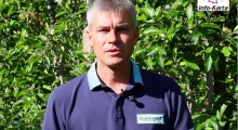 Agrosimex: komunikat sadowniczy - 07.06.2017