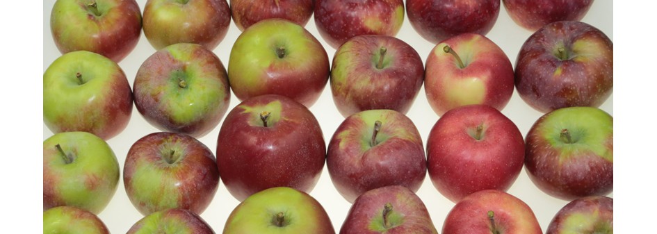 Dynamiczny wzrost cen jabłek