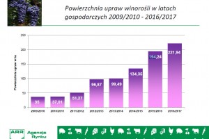 Powierzchnia upraw winorośli w latach gospodarczych 2009/2010 - 2016/2017