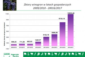 Zbiory winogron w latach gospodarczych 2009/2010 - 20016/2017