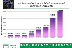 Wielkość produkcji wina w latach gospodarczych 2009/2010 - 2016/2017