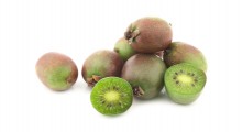 Pogoda nie rozpieszcza plantatorów mini kiwi