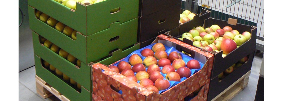 Uwaga organizacje producentów owoców - zmiany terminów !