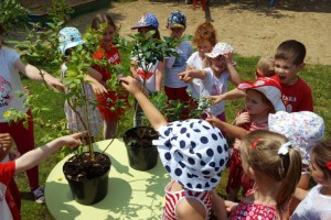 Polska borówka przykładem wykorzystania rynkowej szansy