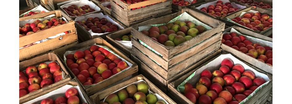 Tak wysokich cen jabłek we wrześniu nie było od 2007 r