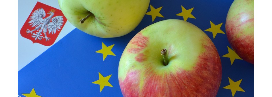 Ceny jabłek we wrześniu były najwyższe od 5 lat w całej UE