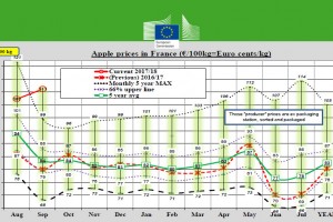 KE: Ceny jabłek we Francji
