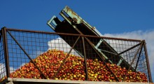 KUPS: trudny rok dla przetwórców owoców
