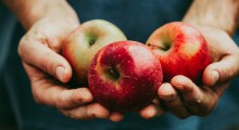 USDA: Przewidywane zbiory jabłek w Chinach