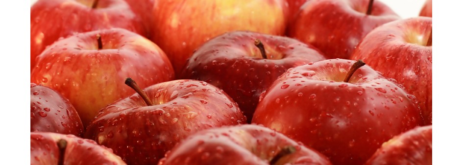 USDA: Przewidywane zbiory jabłek w Kanadzie
