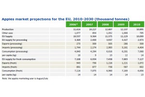 KE: Prognoza rozwoju unijnego rynku jabłek do 2030 roku