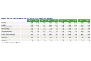 KE: Prognoza rozwoju unijnego rynku jabłek do 2030 roku
