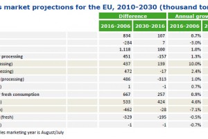 KE: Prognoza rozwoju unijnego rynku jabłek do 2030 roku