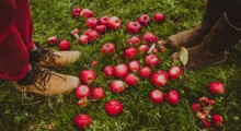 USA: popyt na ekologiczne jabłka wciąż wzrasta