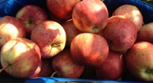 Rosja wznowiła zakaz importu jabłek z Bośni i Hercegowiny