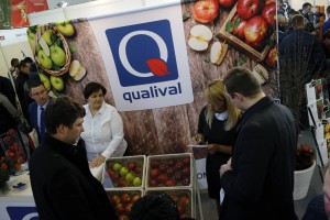 Qualival, z szeroką gamą nowych odmian dla sadowników.