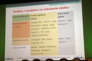  Fot.2. Roślina = podatne na zakażenie jabłko