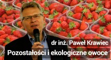 Pozostałości i ekologiczne owoce jagodowe wg. [Paweł Krawiec]