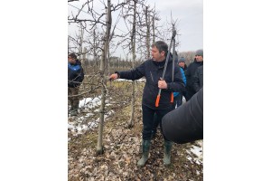 Bart Liesenborghs wskazówki na temat prowadzenia drzew po cięciu mechanicznym