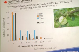  [Fot. 2] Zbyt wiele owoców (nasion) na krótkopędzie hamuje tworzenie pąków kwiatowych