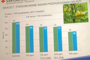  [Fot. 4] MaxCel - przerzedzanie ( owoce / 100 kwiatostanów)