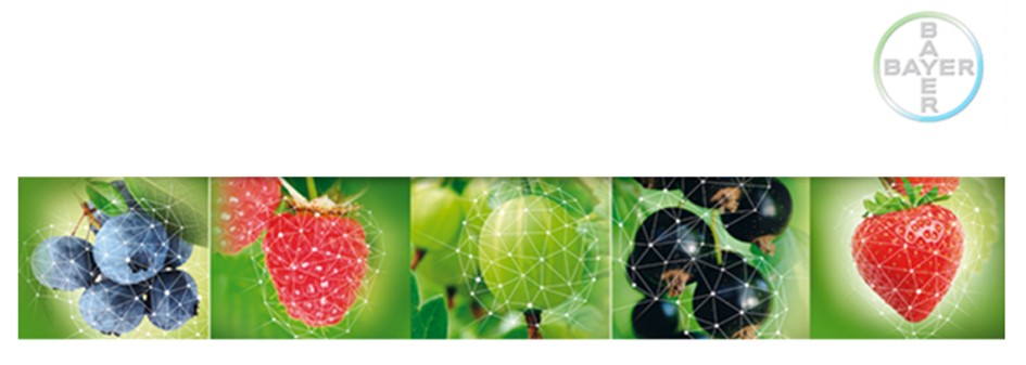 Bayer: komunikat jagodowy z dnia 21 kwietnia 2018 roku