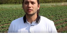 Komunikat jagodowy - 9.05.2018 - Michał Malicki, Agrosimex