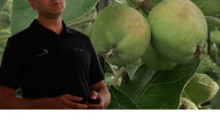 O sadownictwie i pozostałości w owocach - Tomasz Gasparski, Bayer