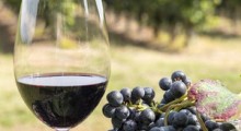 Wnioski o wpis do ewidencji producentów wina do 15 lipca 2018 r.