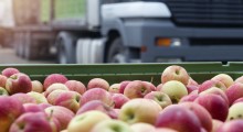Eksport polskich jabłek może się podwoić lub potroić