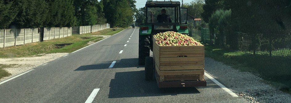 Sadownicy czują się oszukani !