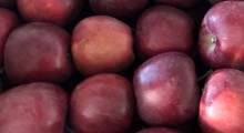 Niewiarygodnie niskie ceny jabłek nie tylko w Polsce