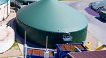ZSRP: Wycofywanie jabłek na biogaz 