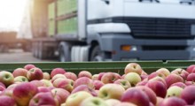 Rosja zwiększyła import jabłek o 41% 