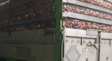 Ciężarówki przeładowane jabłkami
