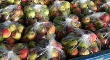 Ukraina rozszerza eksport jabłek !