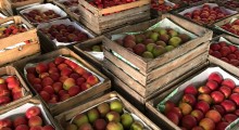 Eksport jabłek z Mołdawii do Rosji spadł o 42%
