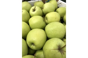  Jabłko lubelskie - Golden Delicious