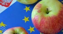 Unijny rynek jabłek 2018-2030