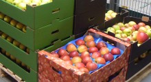 CBA: Sfałszowano dane o ilościach wyprodukowanych owoców w grupie