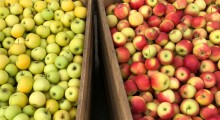 Singapur pod wrażeniem ukraińskich jabłek