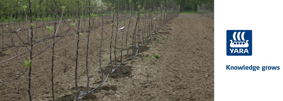 YaraTera -  praktyczne aspekty fertygacji w polu i pod osłonami