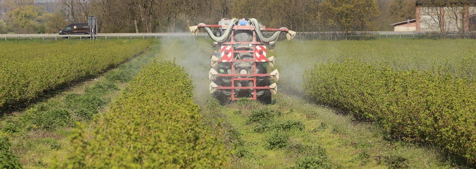 Kleffmann: Mospilan 20 SP najczęściej stosowany