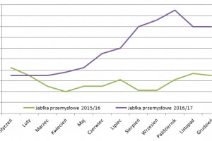  Dynamika hurtowych cen jabłek przemysłowych na rynku warszawskim w sezonach 2015/2016 oraz 2016/17   
