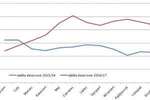  Dynamika hurtowych cen jabłek deserwoych na rynku warszawskim w sezonach 2015/2016 oraz 2016/17   