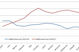  Dynamika hurtowych cen jabłek deserwoych na rynku warszawskim w sezonach 2015/2016 oraz 2016/17   
